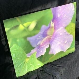 Stunning Dew Kissed Flower Signed Metal Photograph Print Art Wall Hanging